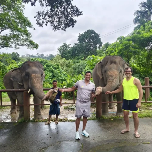 Before diving into a traditional Thai cooking class, come connects with friendly Asian elephants by feeding them a basket of bananas. This heartwarming activity is a unique part of the best cooking class Phuket experience, offered at Bukit Thai Cooking Class Phuket Thailand.