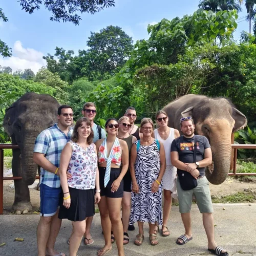 Discover an unforgettable day in the nature by meeting gentle elephants at Bukit Thai Cooking Class Phuket Thailand. Where you learn how to make Thai food from local chef who has over 15 years of experience.